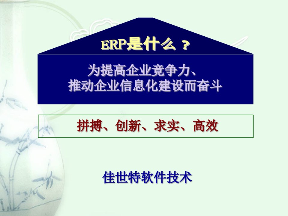 ERP是什么