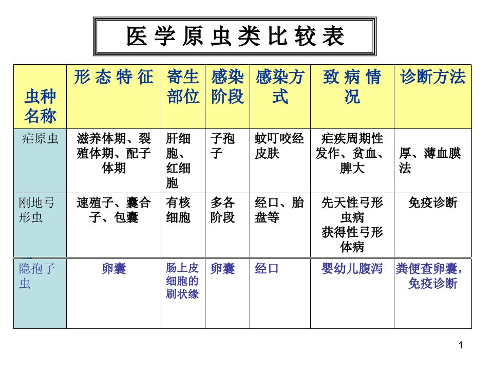 医学节肢动物-本科课件