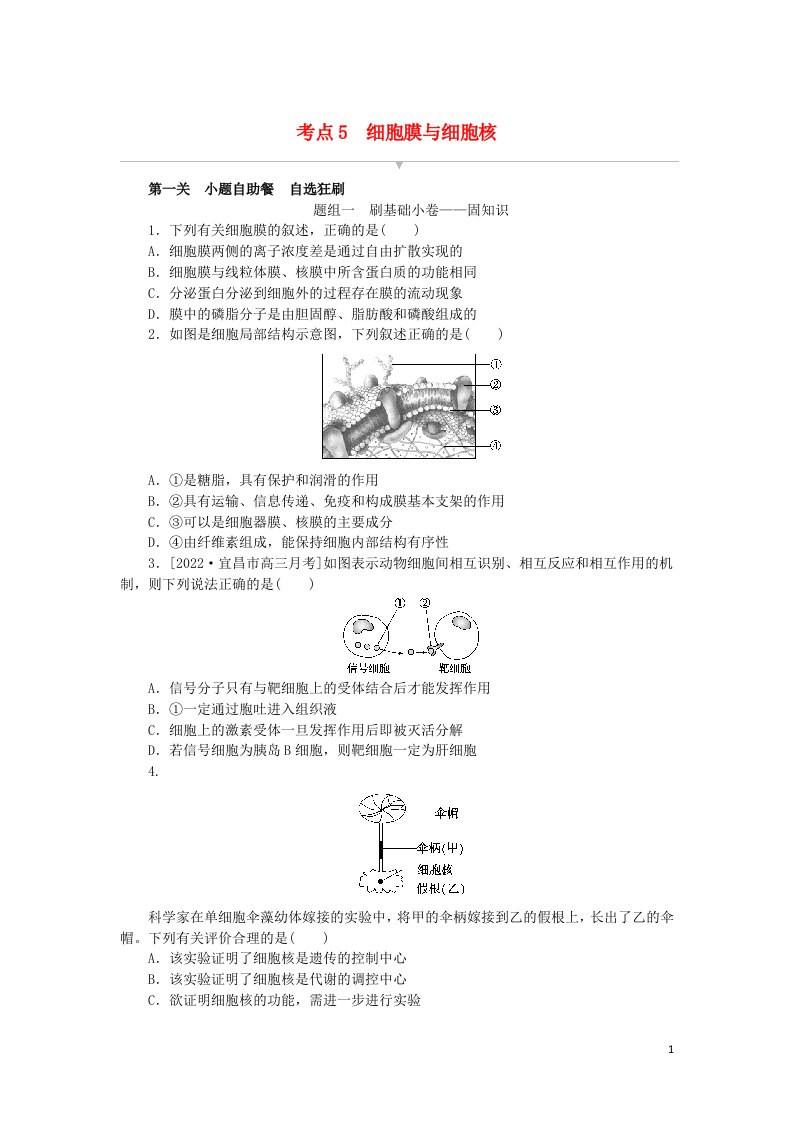 2023版新教材高考生物复习特训卷第二单元细胞的基本结构和物质的跨膜运输考点5细胞膜与细胞核