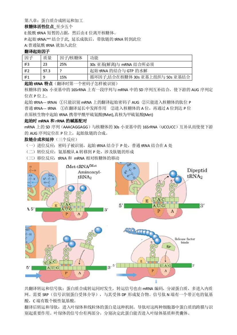 表达调控与蛋白质合成笔记