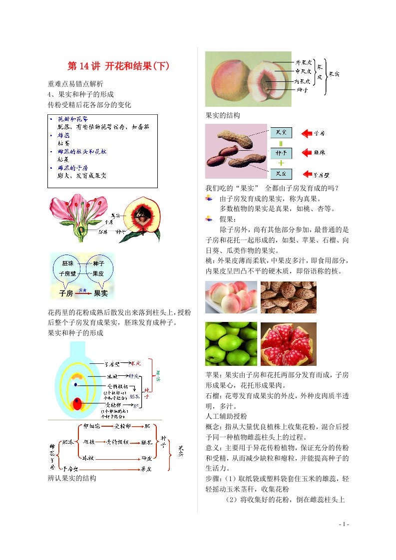 江苏省大丰市七年级生物上册第14讲开花和结果讲义苏教版