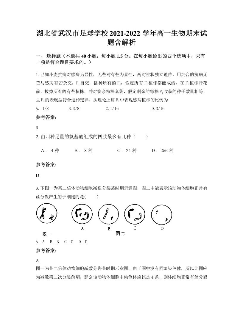 湖北省武汉市足球学校2021-2022学年高一生物期末试题含解析