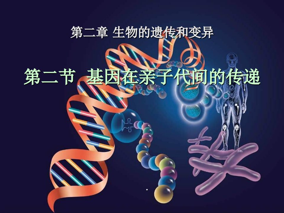 人教版生物基因在亲子代间的传递-PPT课件