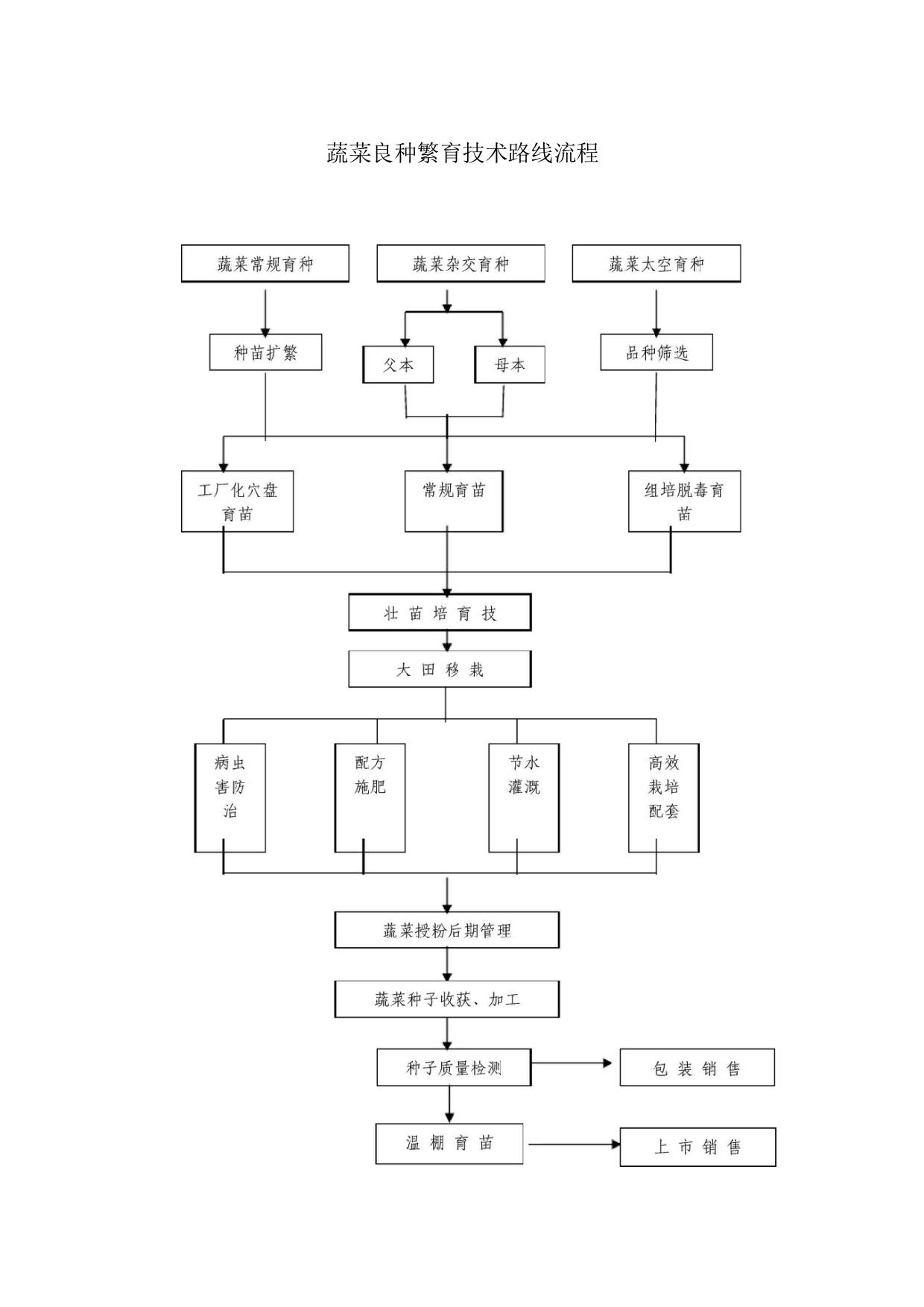 蔬菜良种繁育技术路线流程