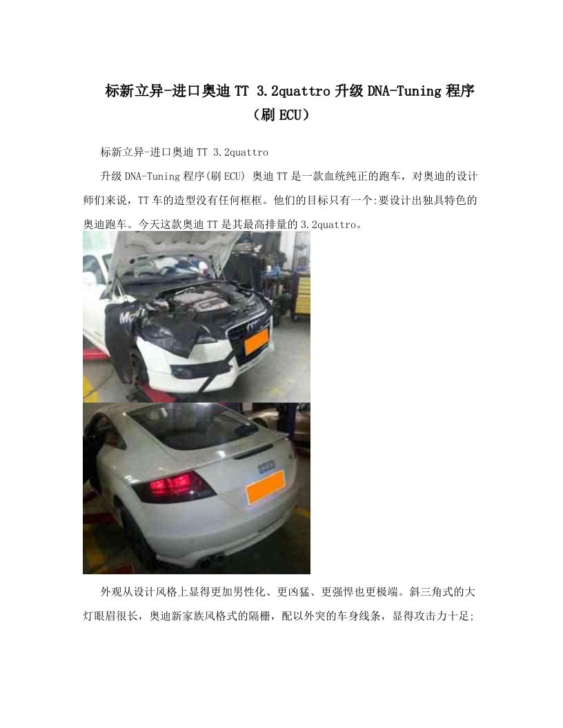 标新立异-进口奥迪TT+3&#46;2quattro升级DNA-Tuning程序（刷ECU）