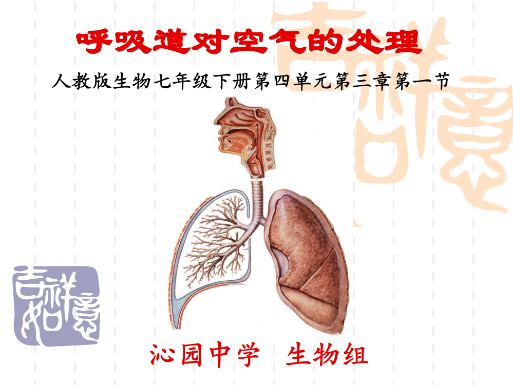 （中小学资料）第一节呼吸道对空气的处理