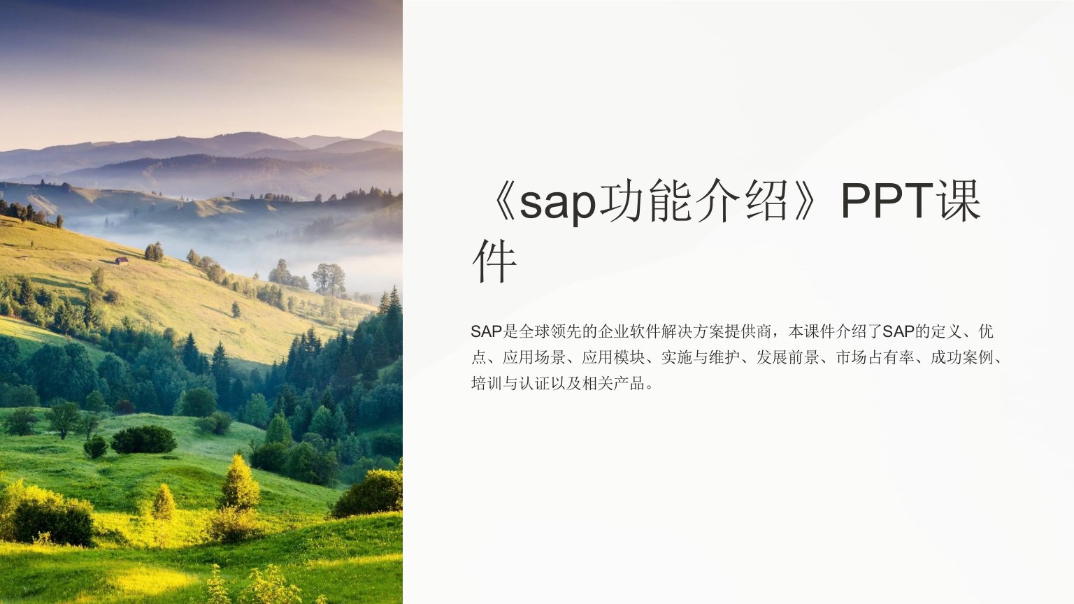 《sap功能介绍》课件