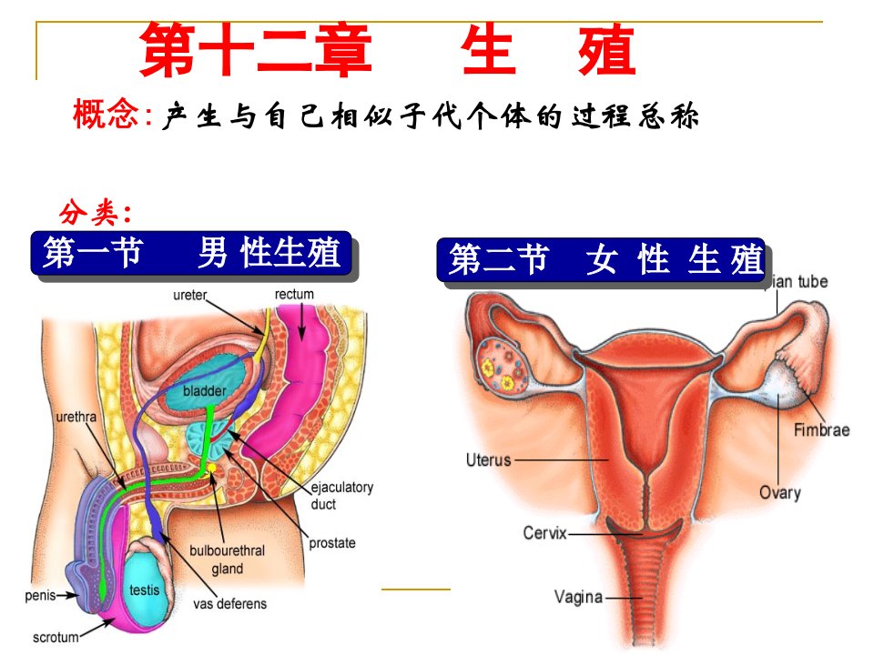 生理学