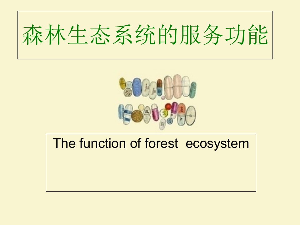 森林生态系统的服务功能