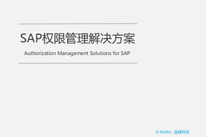 SAP权限管理解决方案