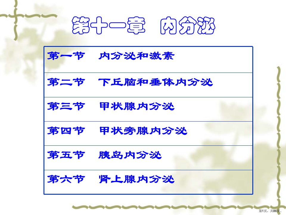 医学《内分泌本科》教学课件