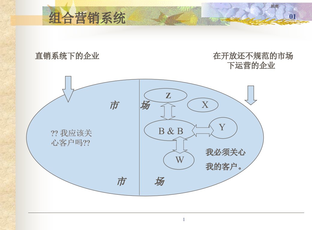 《直销系统下的企业》PPT课件