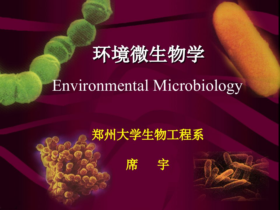 9环境微生物学