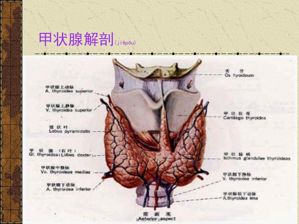 医学专题甲状腺炎分类及诊治