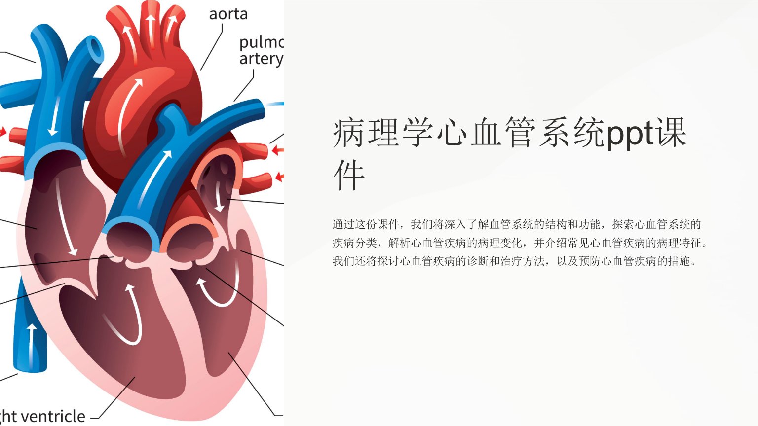 病理学心血管系统课件