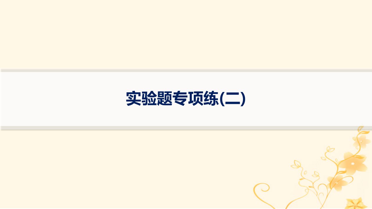 适用于新高考新教材2024版高考物理二轮复习题型专项练实验题专项练二课件