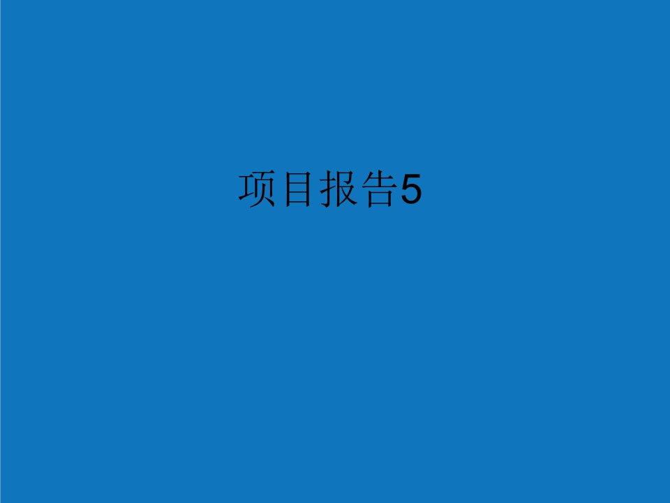 项目管理-项目报告5发泡材料