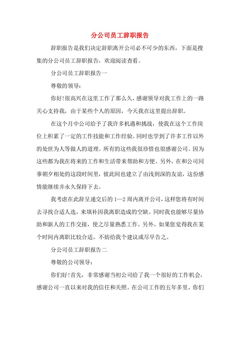 分公司员工辞职报告