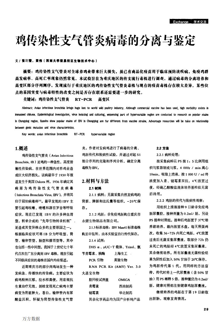 鸡传染性支气管炎病毒的分离与鉴定