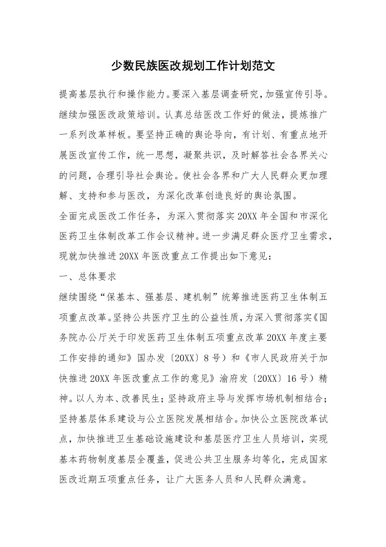 少数民族医改规划工作计划范文