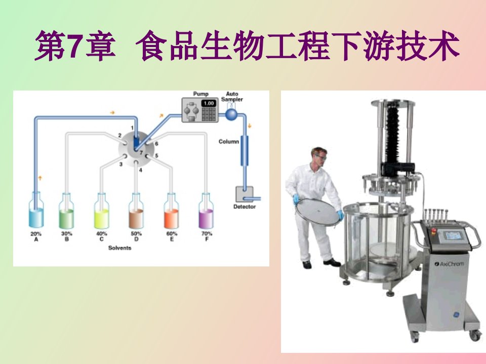 食品生物工程下游技术