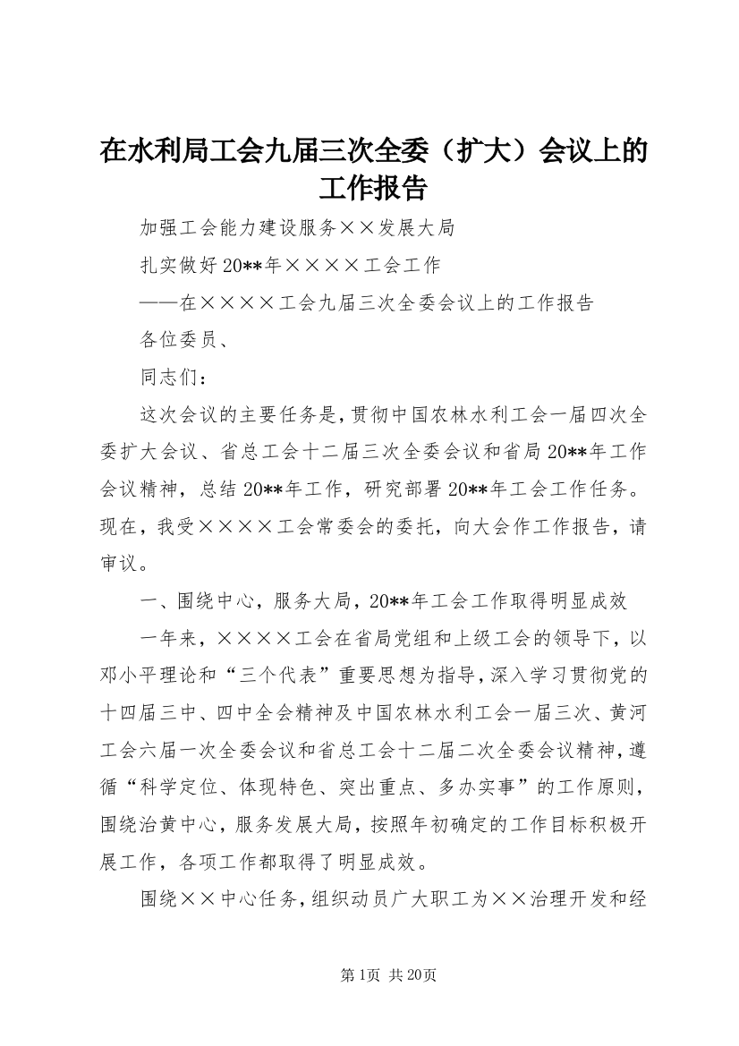 在水利局工会九届三次全委（扩大）会议上的工作报告