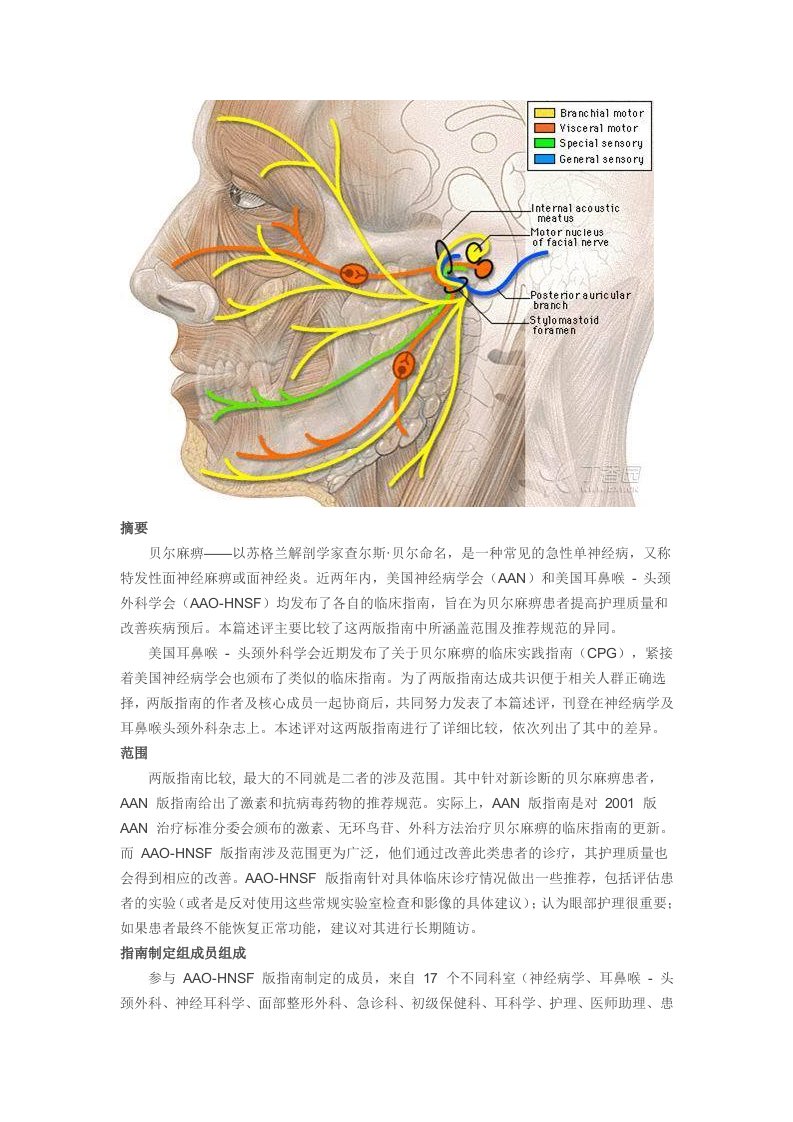 面神经炎-两份治疗指南的比较