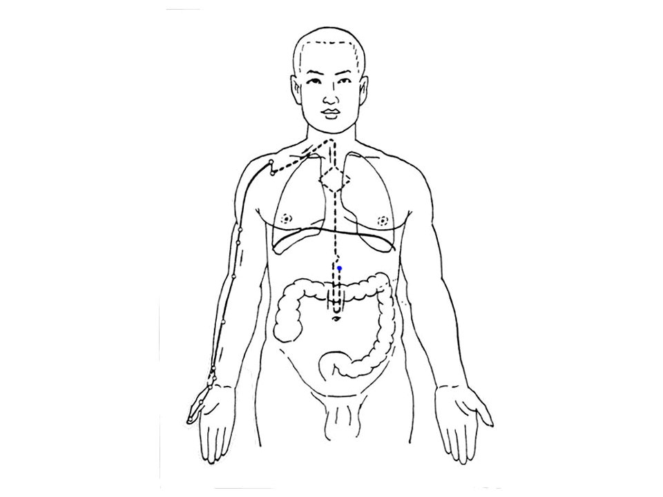 经络腧穴学各论ppt课件