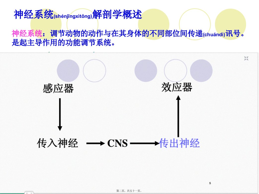 医学专题传出神经系统药汇总