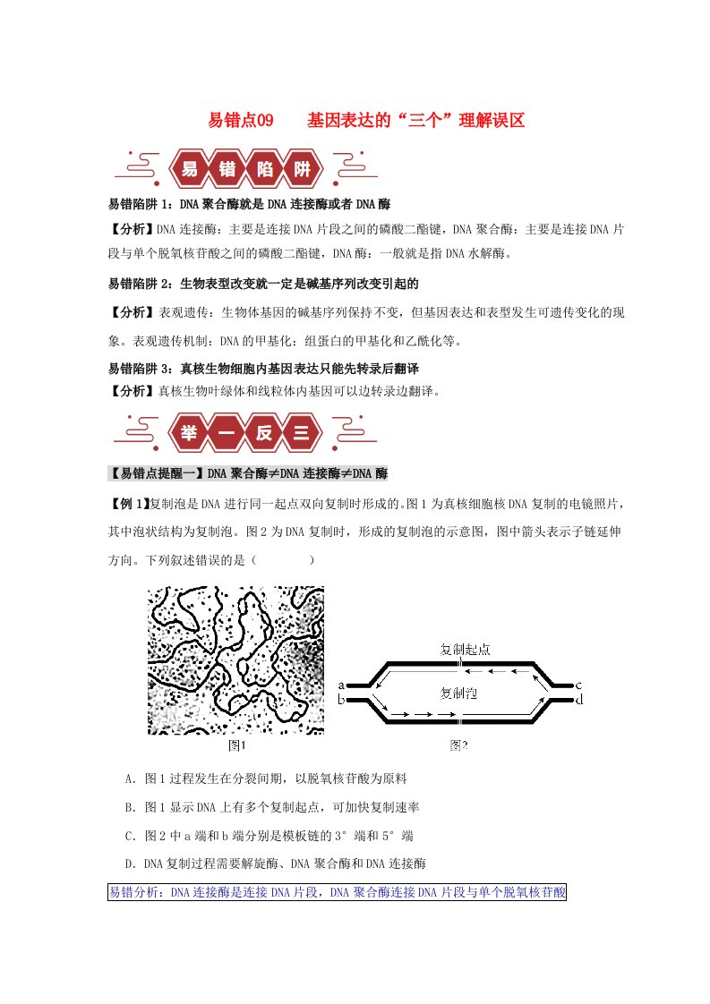 新高考专用备战2024年高考生物易错题精选易错点09基因表达的“三个”理解误区教师版