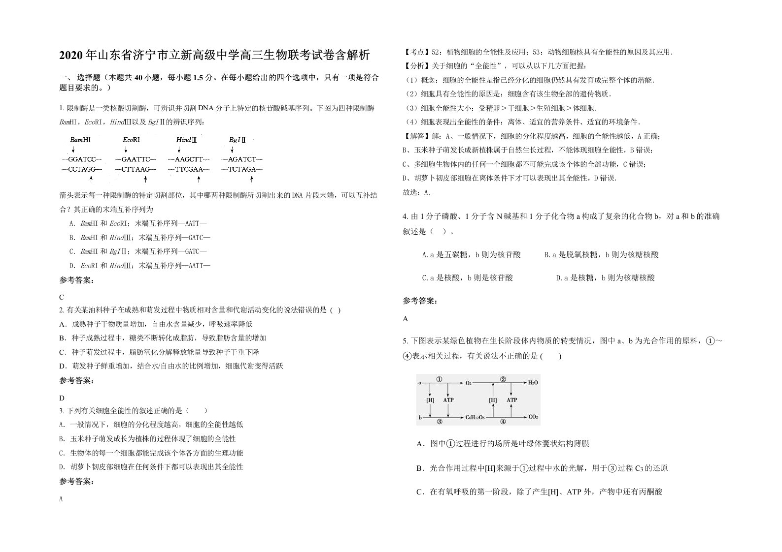 2020年山东省济宁市立新高级中学高三生物联考试卷含解析