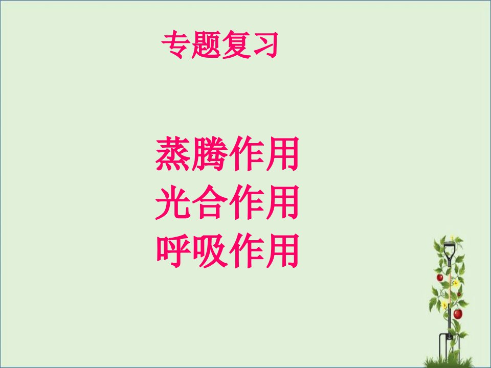 七年级生物上册蒸腾作用、光合作用和呼吸作用专题复习课件新(精)