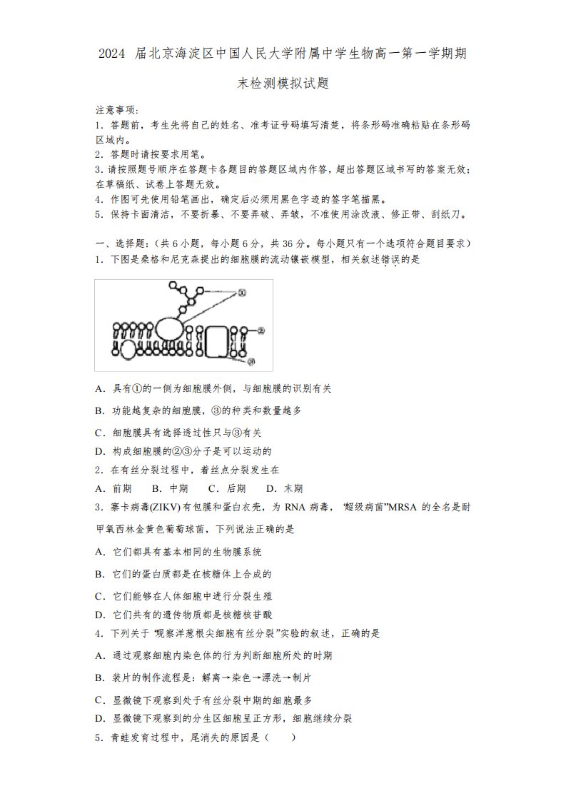 2024届北京海淀区中国人民大学附属中学生物高一第一学期期末检测模拟试题含解析