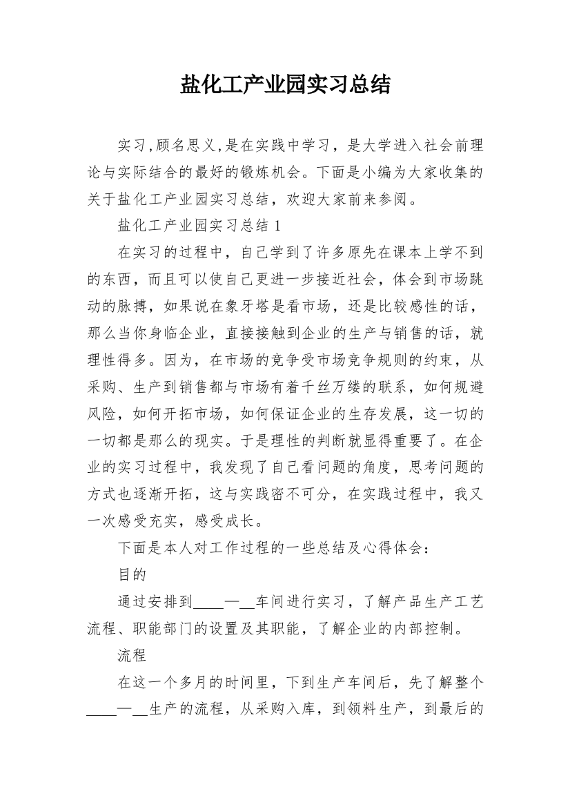 盐化工产业园实习总结