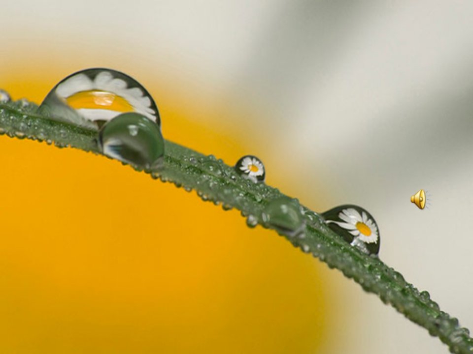 人教版小学语文二年级《雷雨》PPT课件