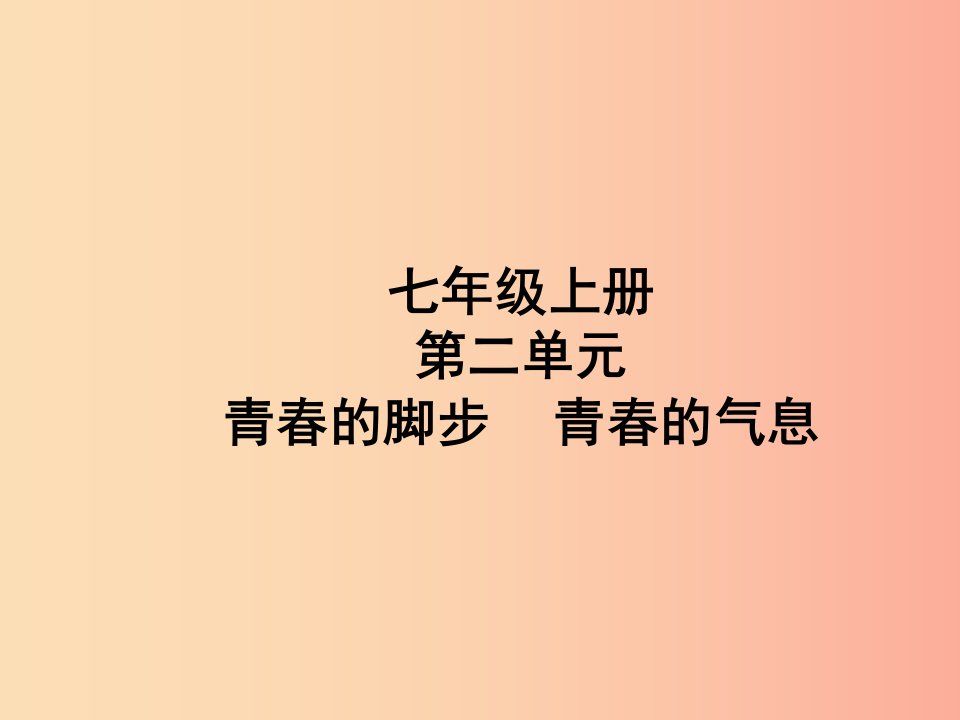 （聊城专版）2019年中考道德与法治总复习