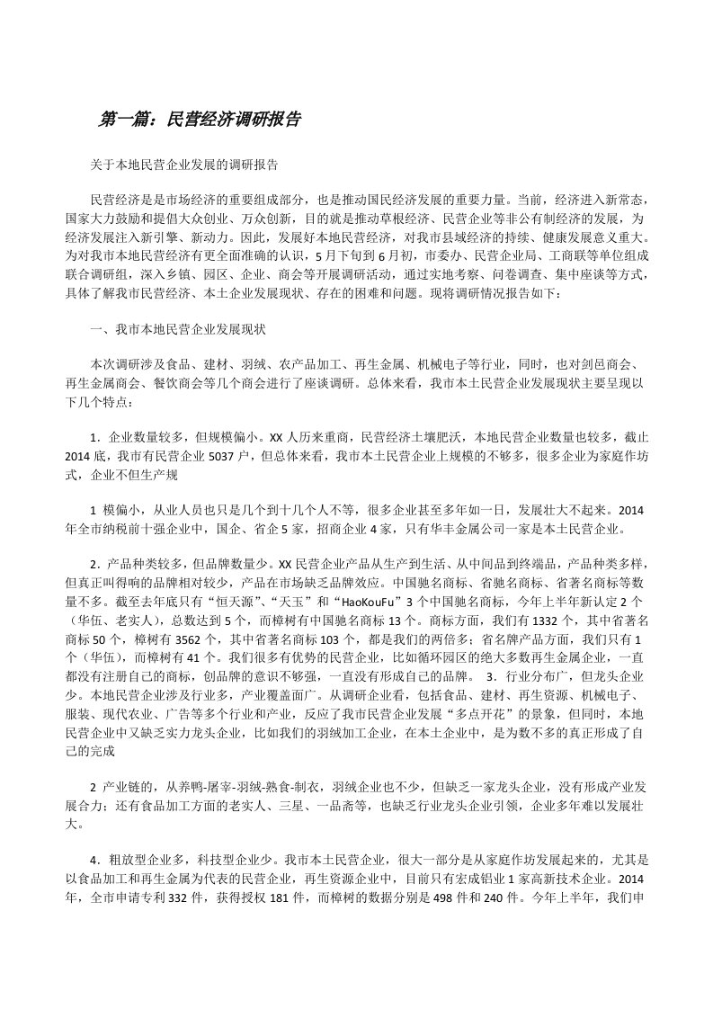 民营经济调研报告[修改版]