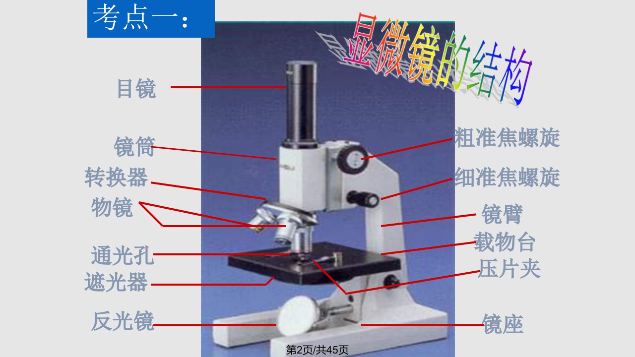 细胞是构成生物体的基本单位