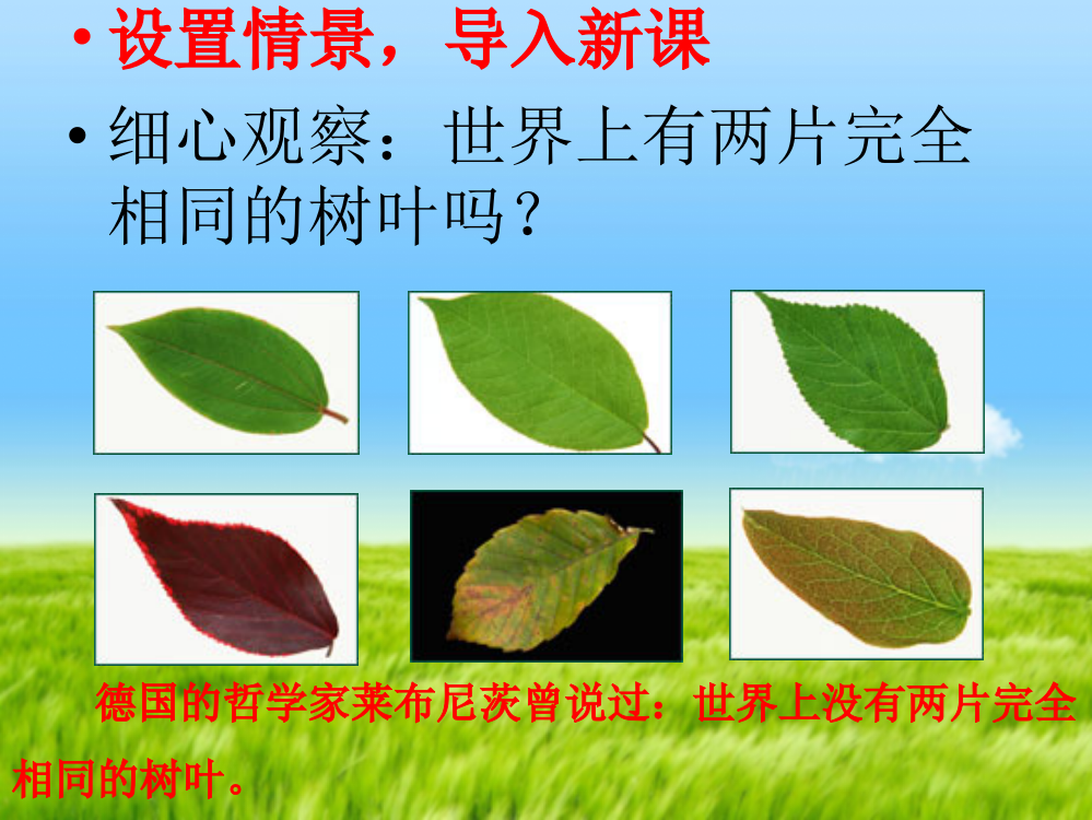 六环节教学法生命因独特而绚丽