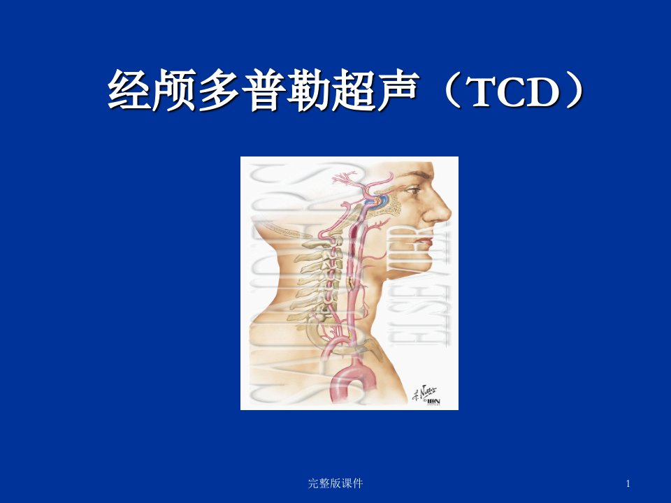 经颅多普勒(TCD)讲解ppt课件