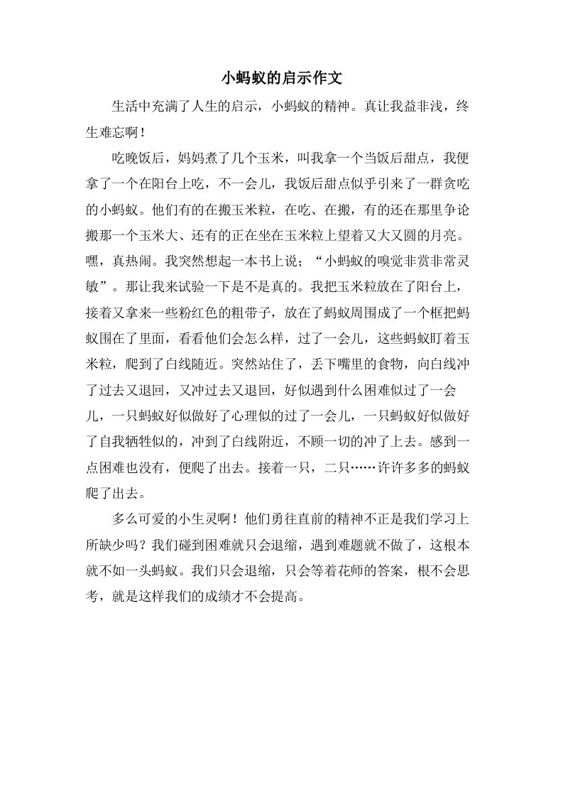 小蚂蚁的启示作文