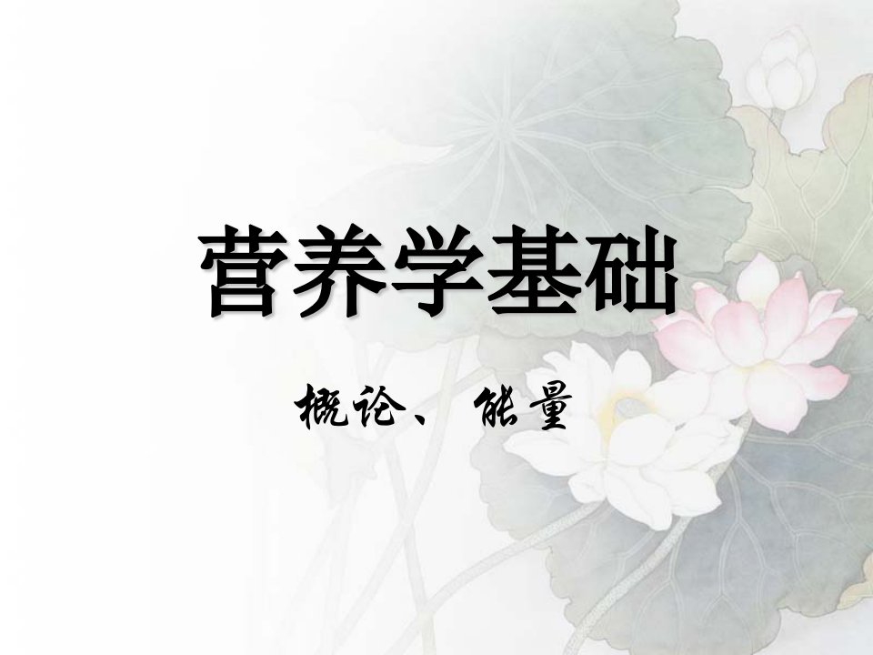 营养学基础-能量,概述