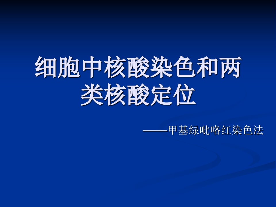 核酸染色和定位