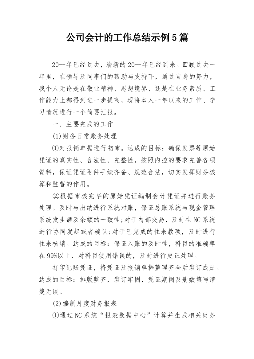 公司会计的工作总结示例5篇