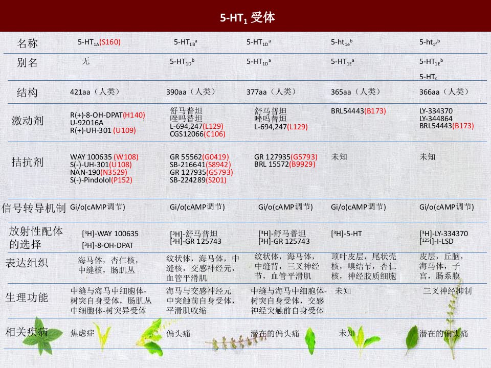 神经生物学课件