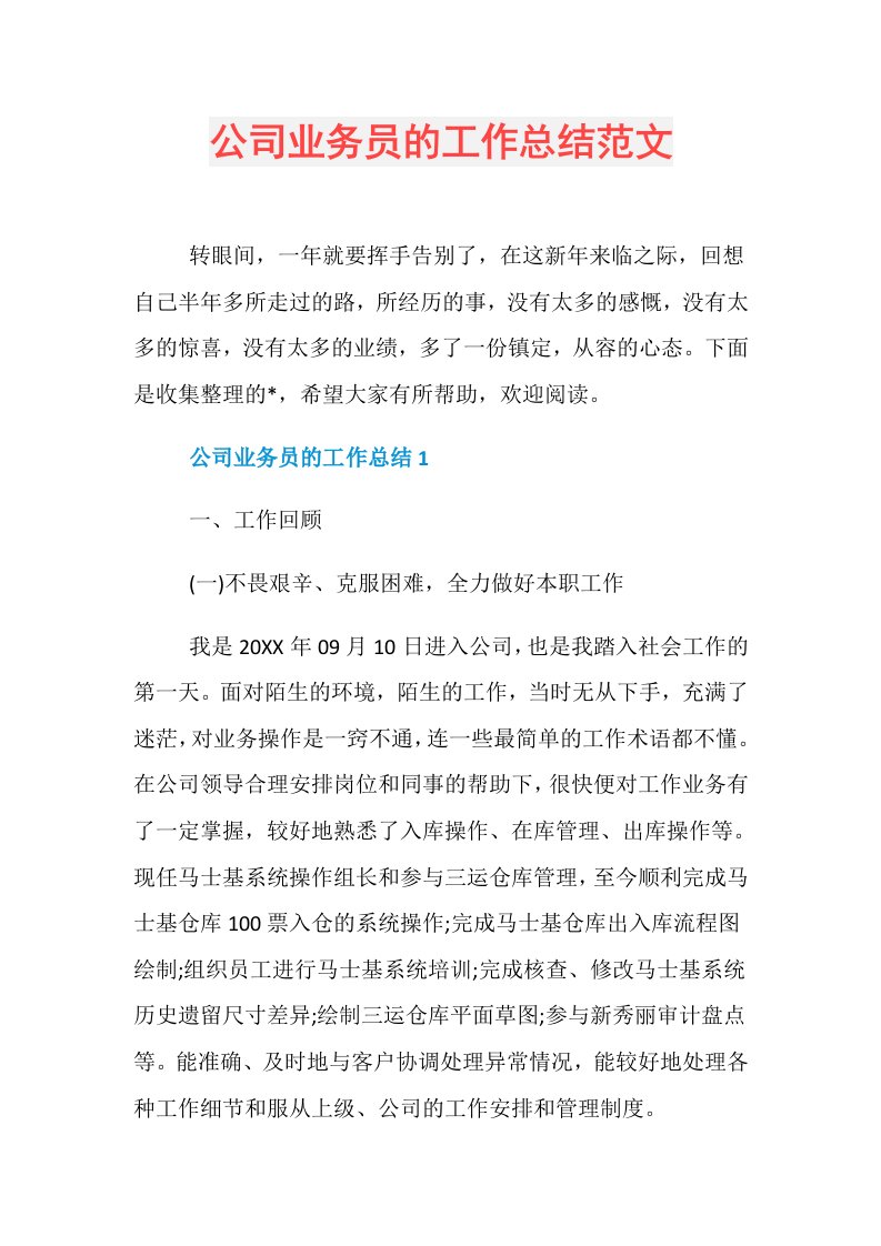 公司业务员的工作总结范文