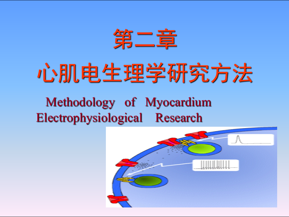 电生理研究方法PPT课件