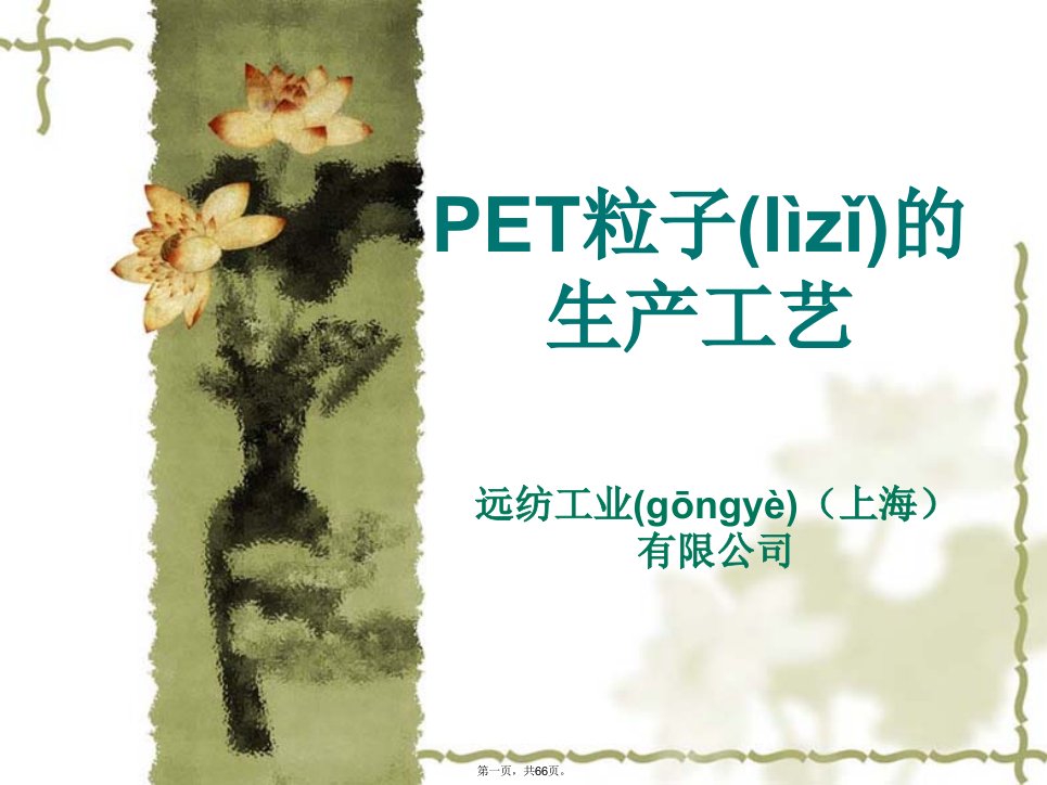 PET粒子的生产工艺培训课件