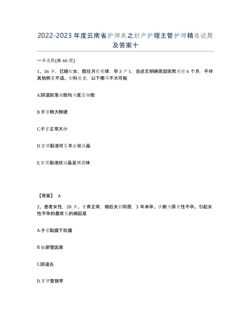 2022-2023年度云南省护师类之妇产护理主管护师试题及答案十