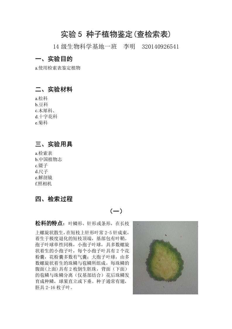 实验报告---种子植物的鉴定-检索表